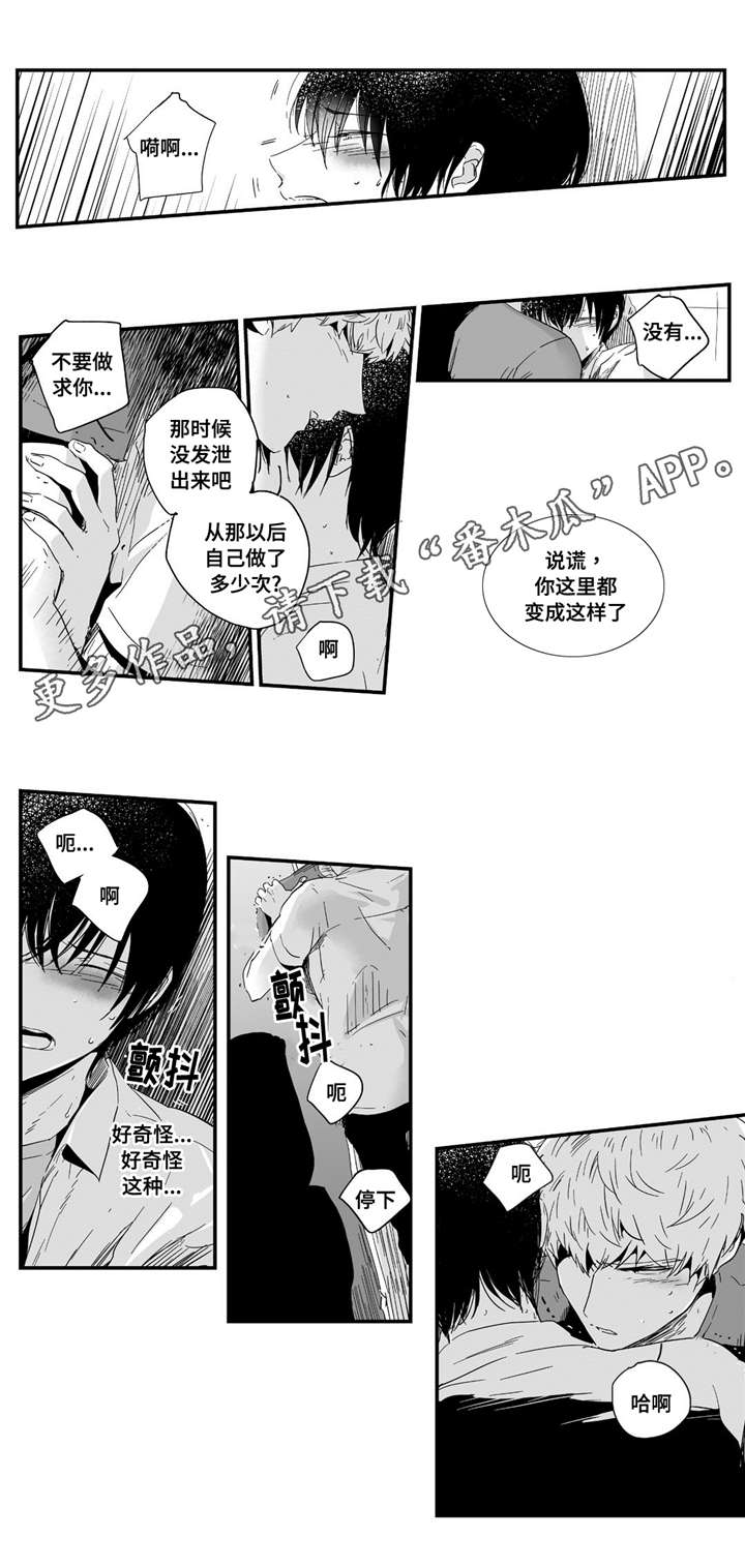目击过后漫画,第7章：领回家1图