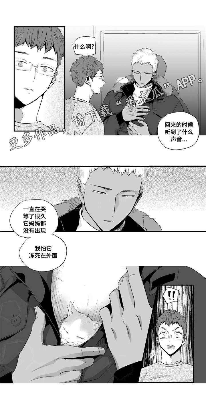 目击过后漫画,第54章：爱心4图