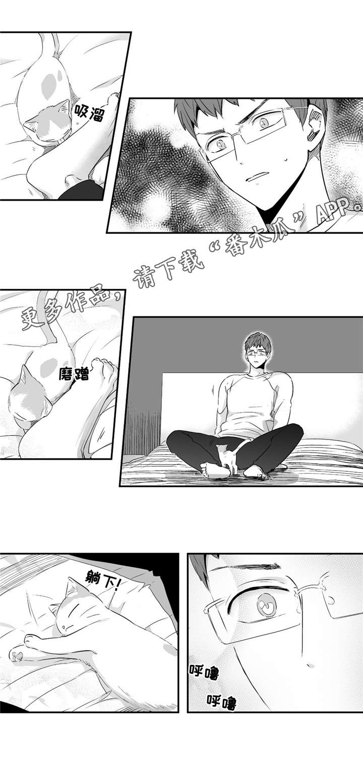 目击过后漫画,第55章：给我机会4图