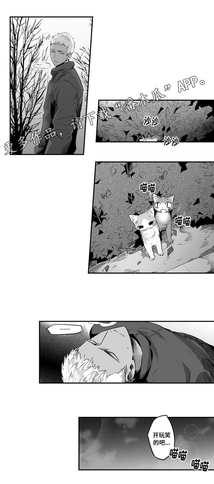 目击过后漫画,第55章：给我机会3图