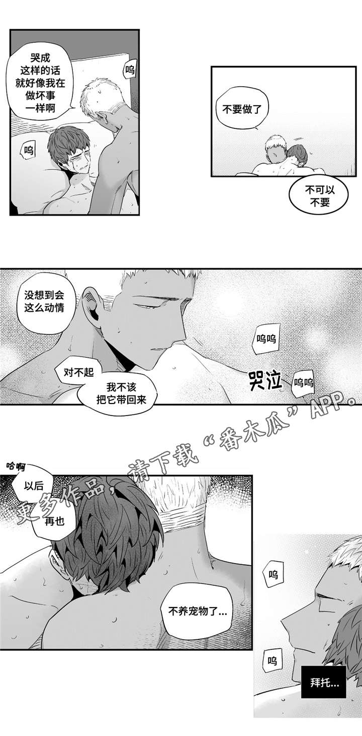目击过后漫画,第55章：给我机会1图