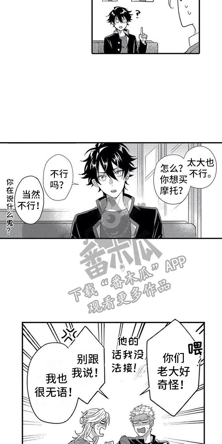 温柔霸主漫画,第12章：询问2图