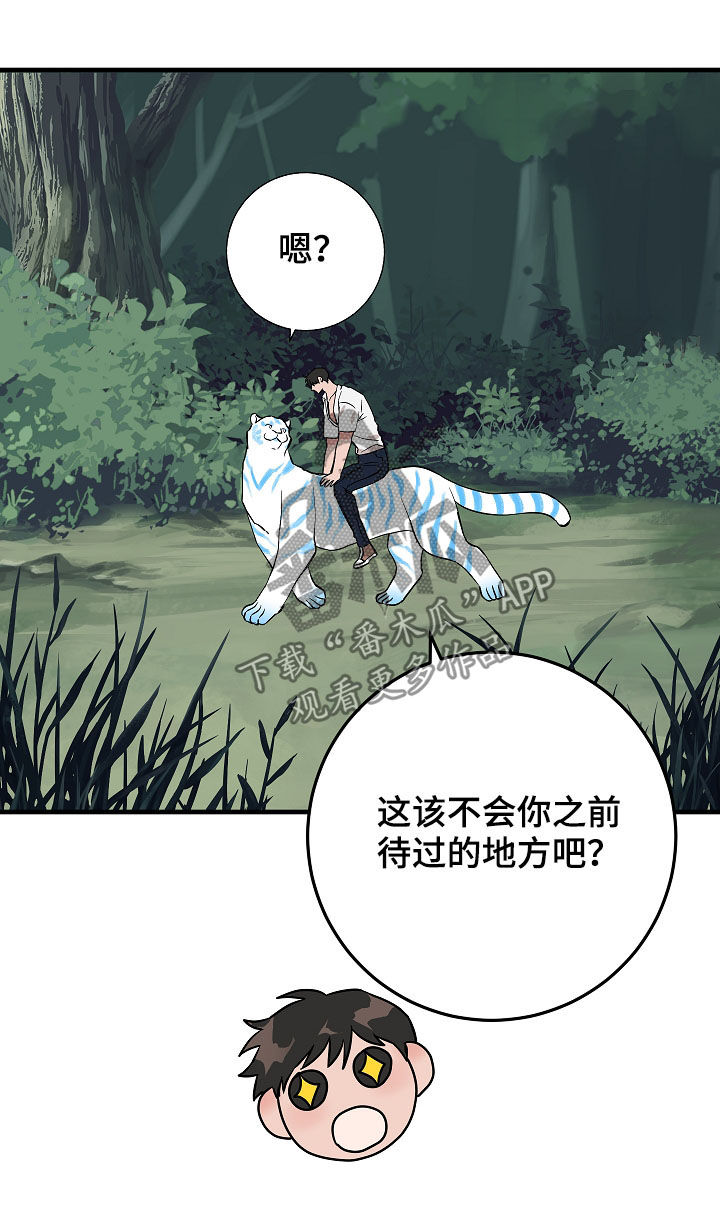 灵异鬼故事漫画,第78章：你才发现1图
