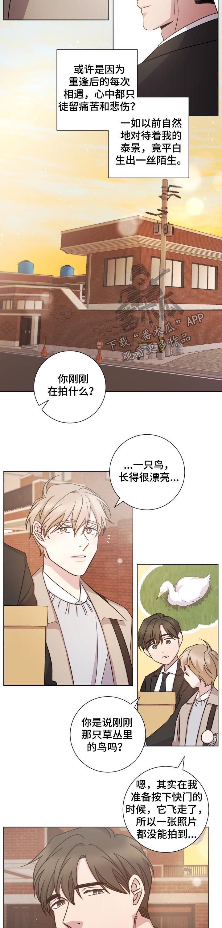 即兴伴侣漫画,第72章：变得陌生2图