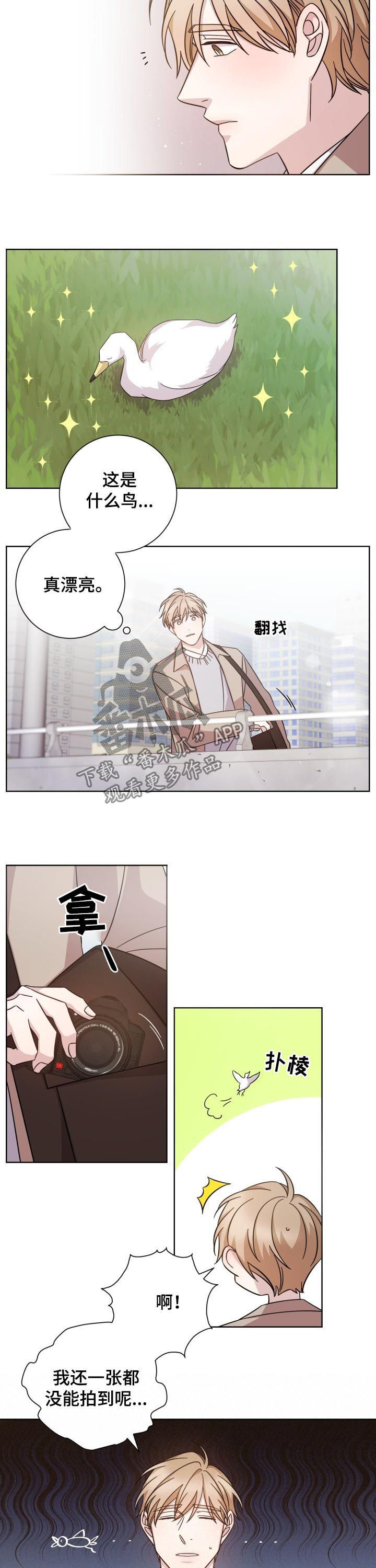 即兴伴侣漫画,第72章：变得陌生3图