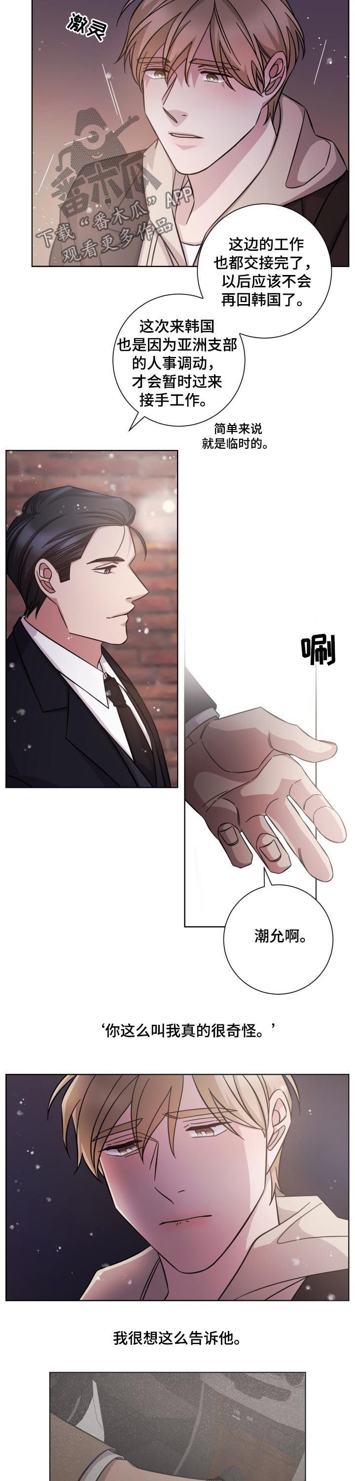 即兴伴侣漫画,第88章：并不是爱情4图