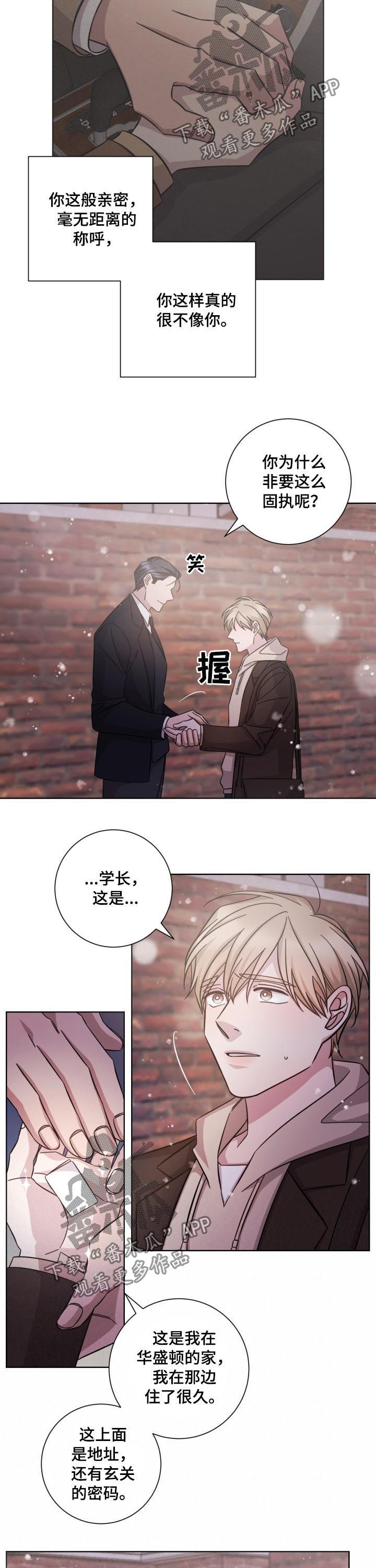 即兴伴侣漫画,第88章：并不是爱情5图