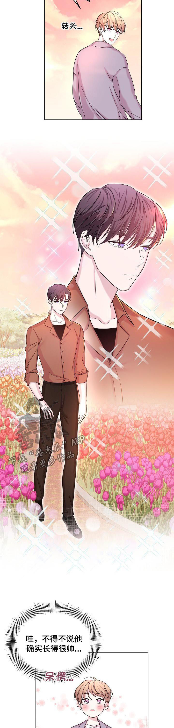 十次睡眠漫画,第62章：花海3图