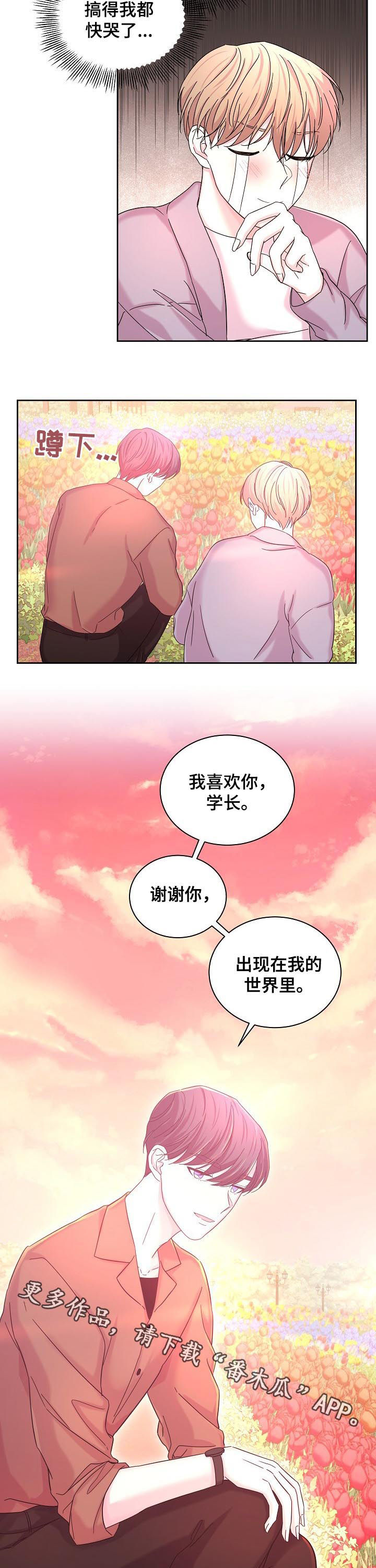 十次睡眠漫画,第62章：花海5图