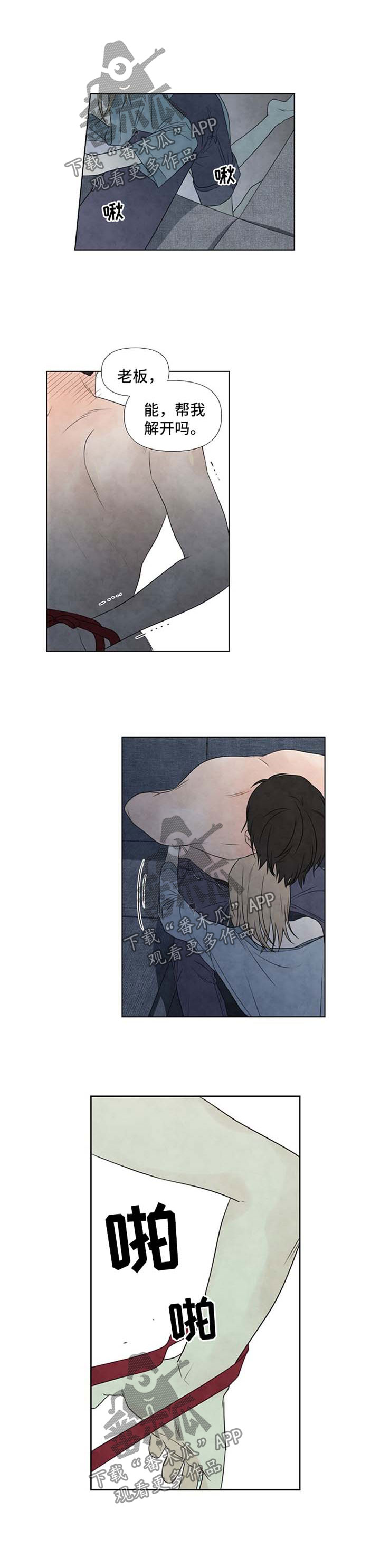 迷情咖啡店漫画,第41章：捆绑3图