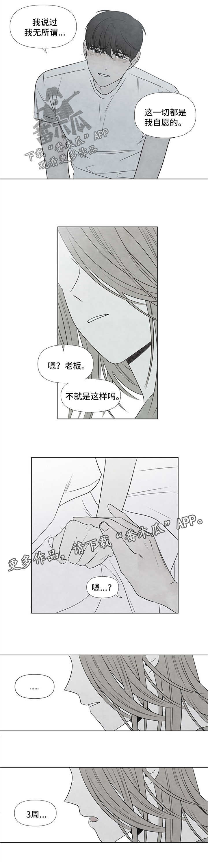 迷情咖啡店漫画,第52章：还剩3周4图