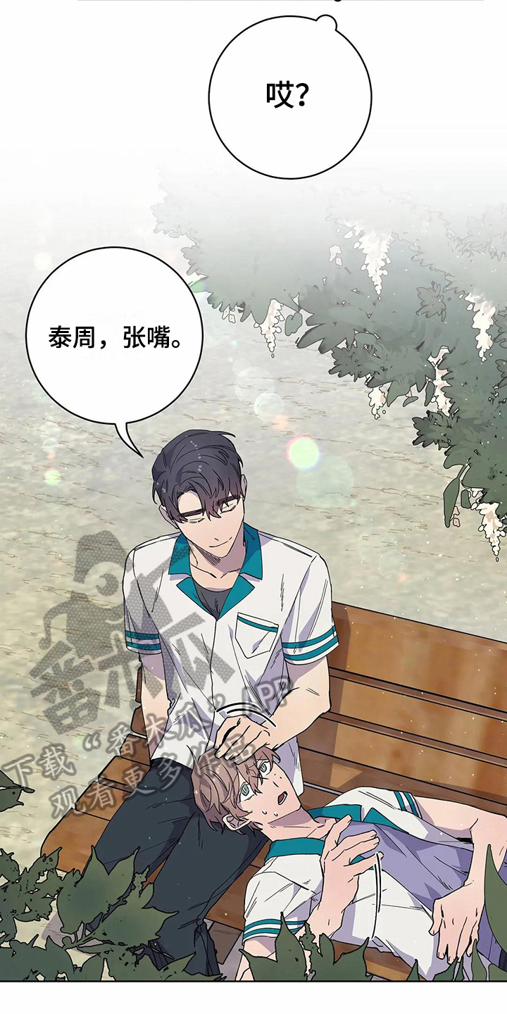 恋爱战斗番剧推荐动漫漫画,第28章：心动4图