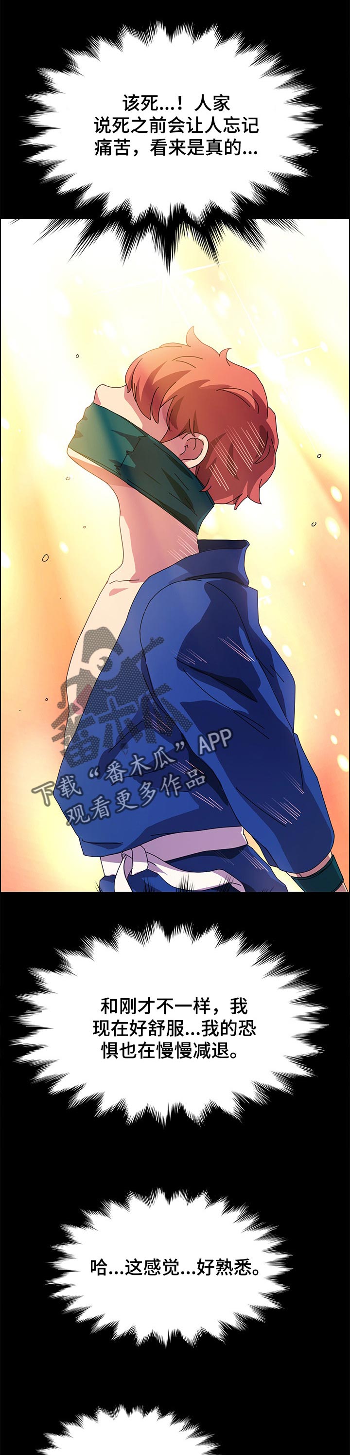 狐影迷惑漫画,第135章：死了都可惜1图