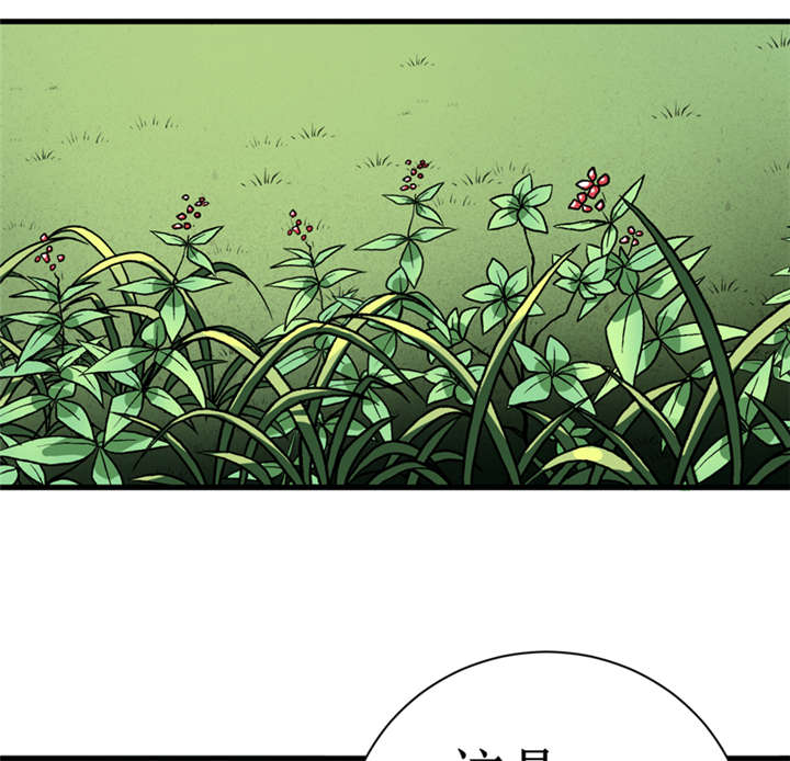 我是一条小河漫画,第15章：今晚你就去捡金吧！5图