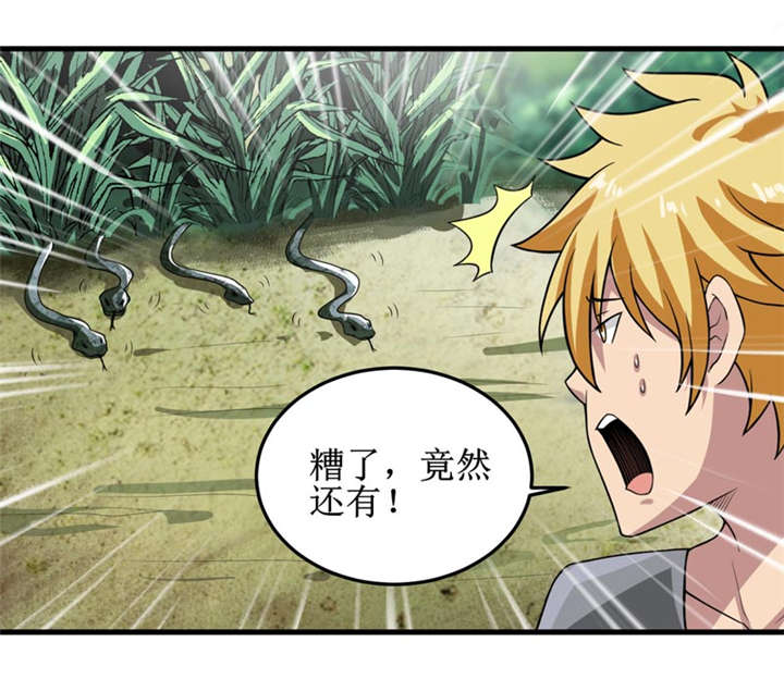 我是捡金师小说章节列表漫画,第33章：蛇妖（上）1图