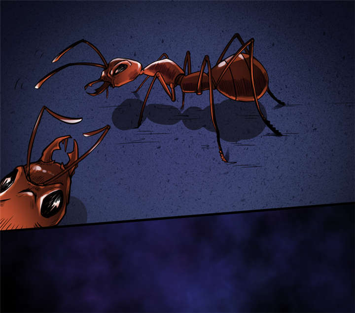 我是捡金师漫画,第13章：办法只有一个5图