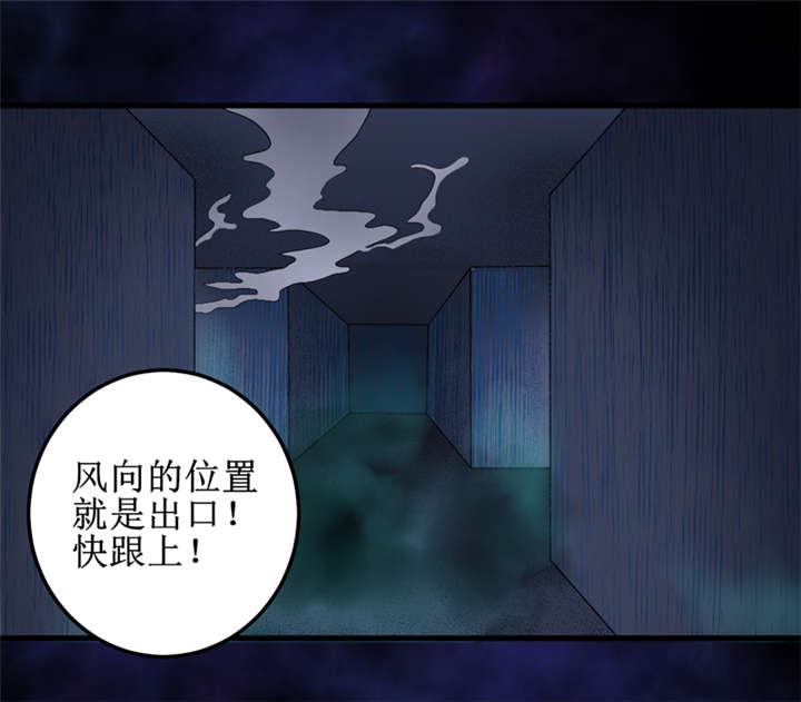 我是捡金师漫画,第43章：棺材剧变(完结)3图