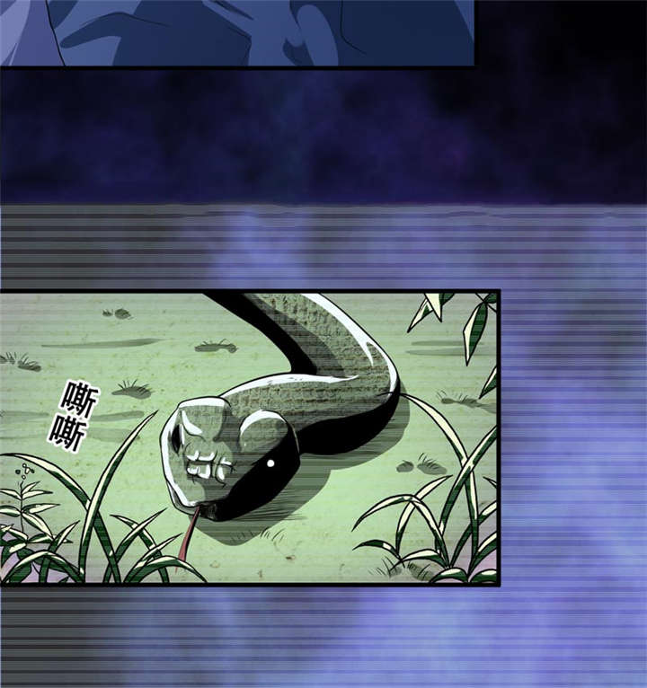 我是捡金师小说章节列表漫画,第33章：蛇妖（上）4图