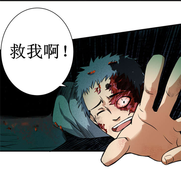 我是捡宝王漫画,第12章：蚂蚁来了，快跑！1图