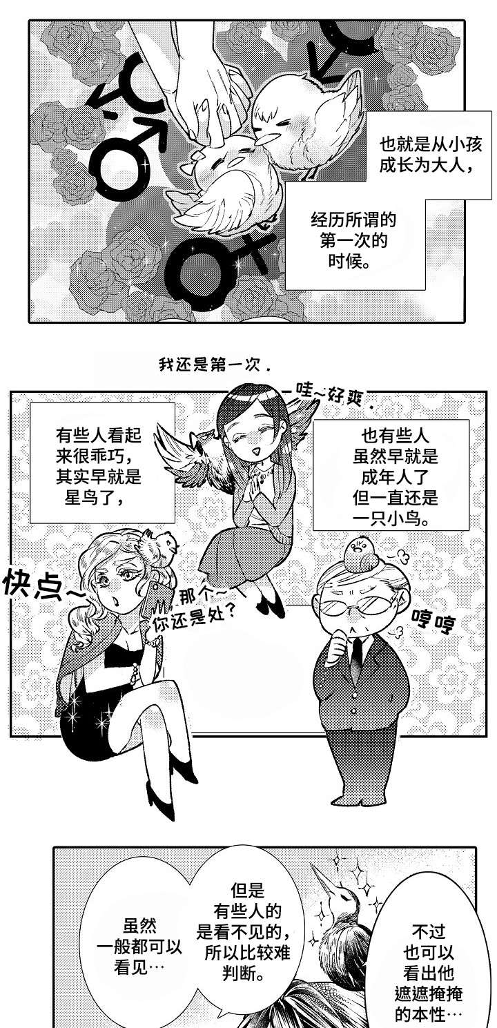 绳之契约漫画,第2章：星鸟3图