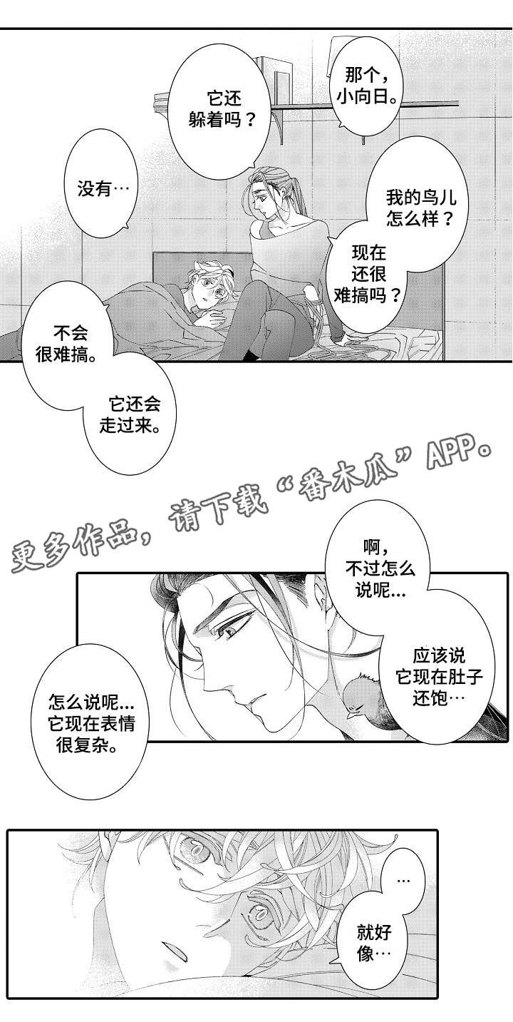 绳之契约漫画,第19章：抱我5图