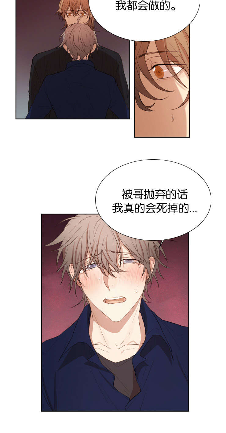 赏罚关系漫画,第29章：被抛弃会死掉4图