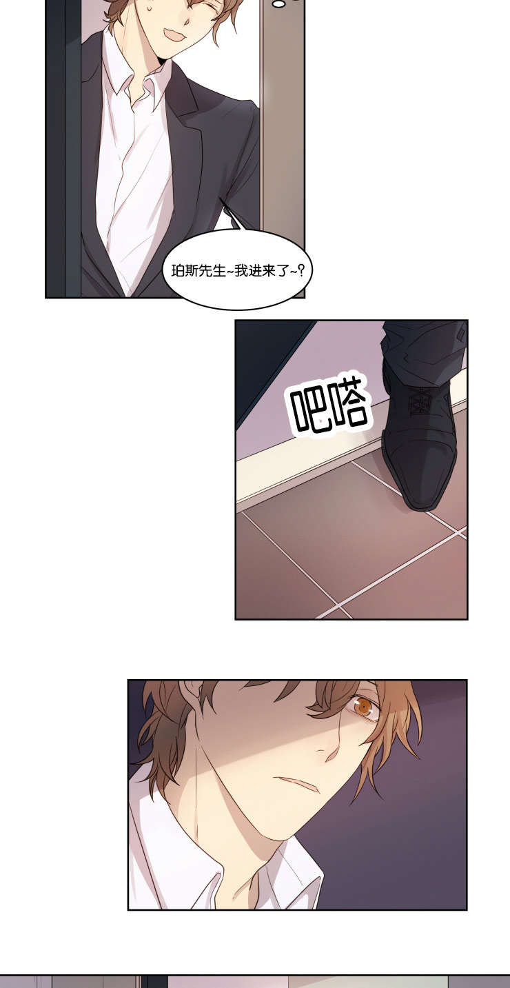 赏罚关系漫画,第5章：昏迷4图