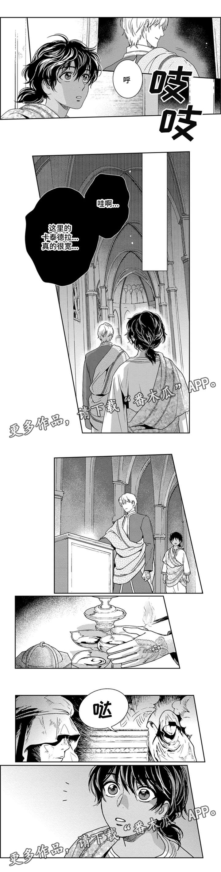 真假行医漫画,第24章：成为黑的术士1图