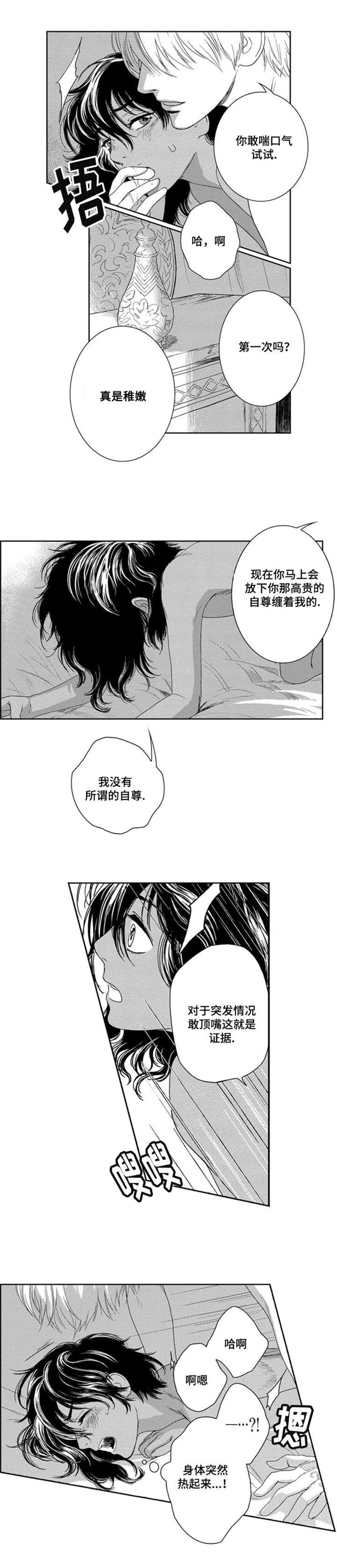 真假术师漫画,第3章：守护妹妹2图