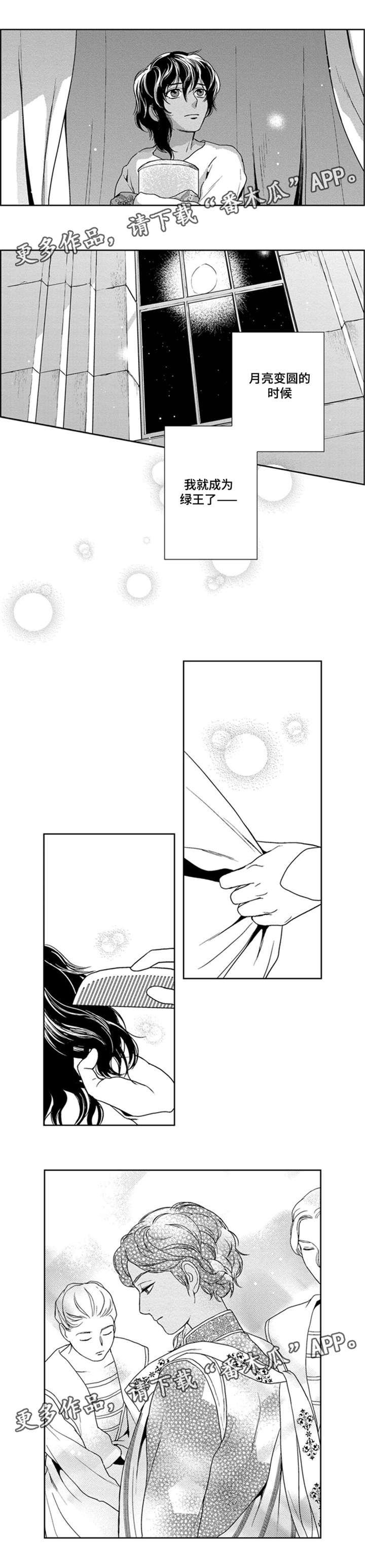 真假术师漫画,第38章：继承王位5图