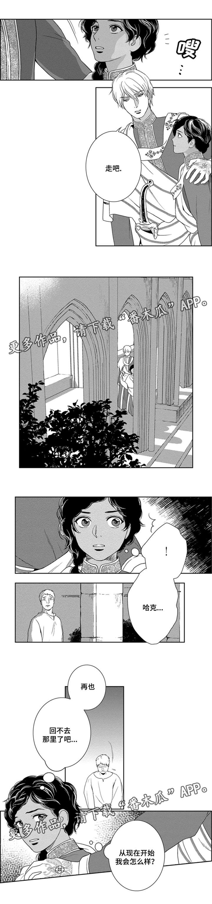 真假术师漫画,第38章：继承王位2图