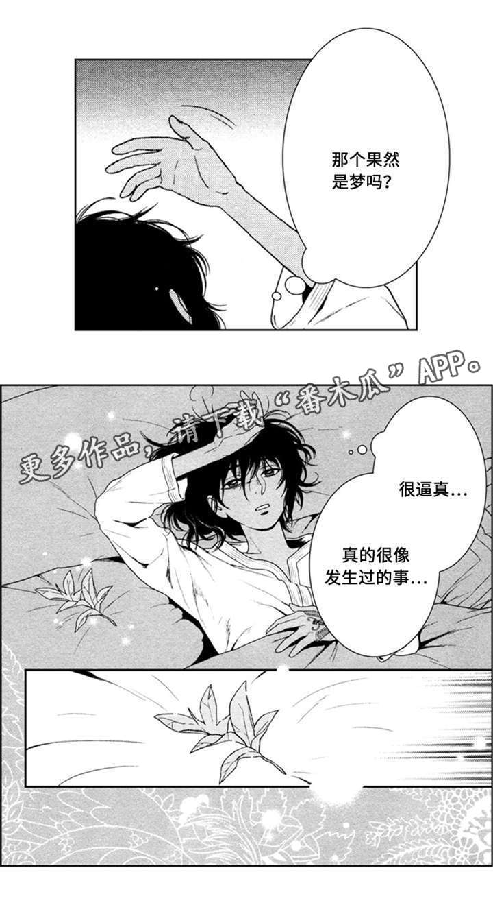 真假算命师辨别漫画,第44章：无能的王1图