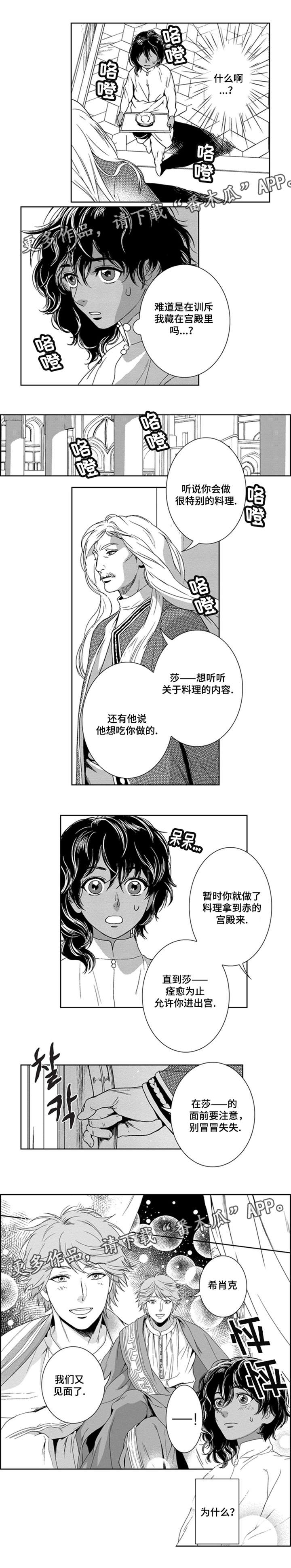 真假术师漫画,第12章：又见面了2图