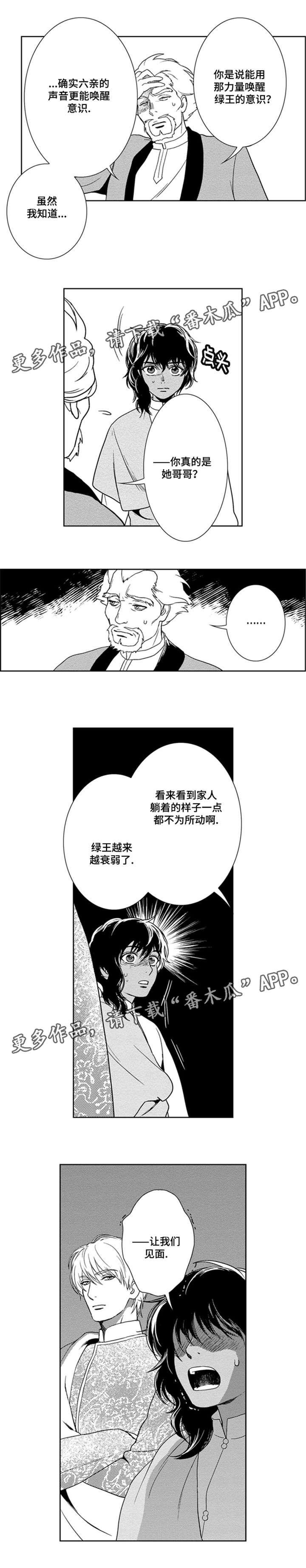 真假水晶漫画,第31章：让我见一面3图