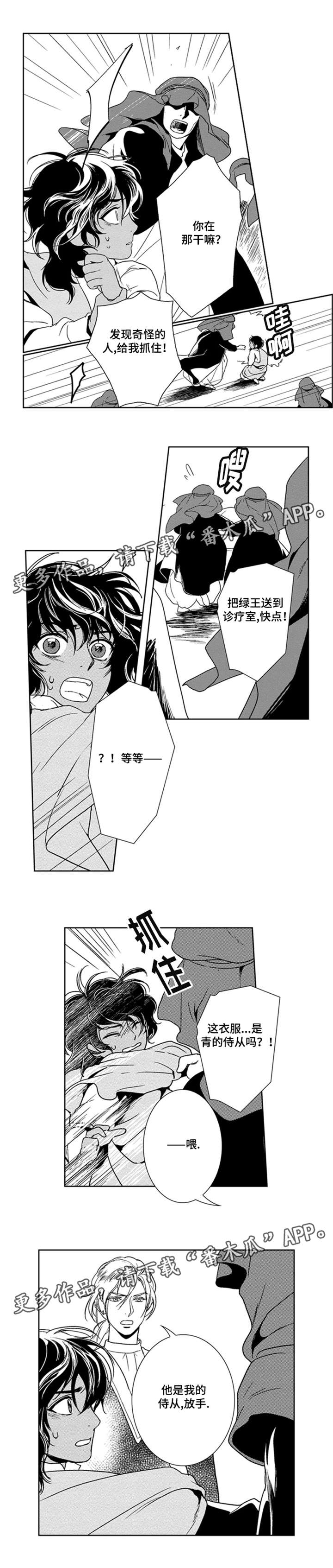 真假占卜师漫画,第29章：真正的占星术师1图