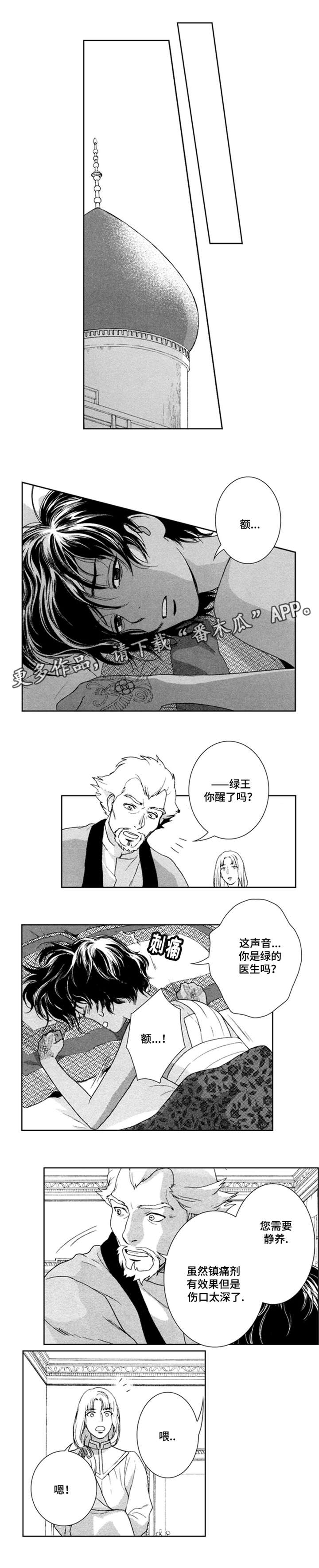 真假公子郊师漫画,第41章：我是医生3图