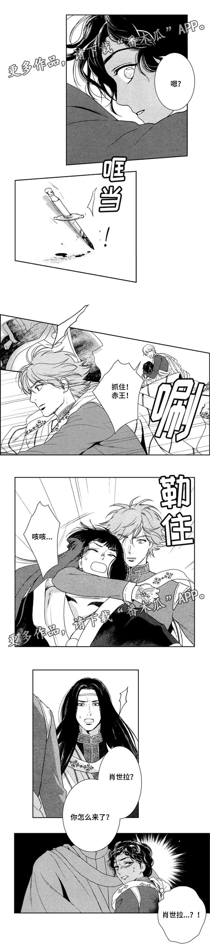 真假行医漫画,第40章：住手2图