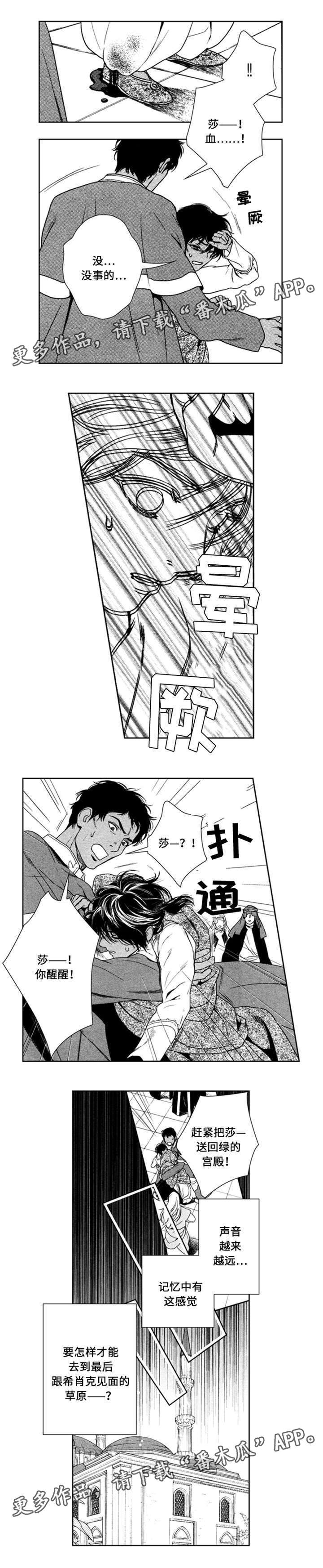 真假术师漫画,第43章：失忆了3图