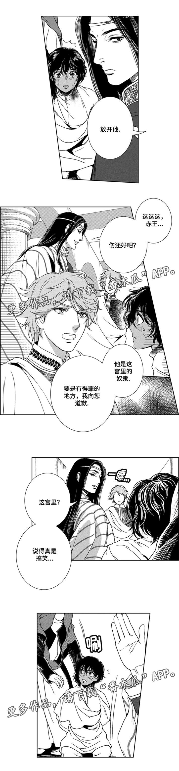 真假术师漫画,第16章：黑王3图