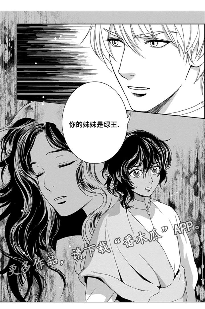 真假术师漫画,第28章：妹妹是绿王4图