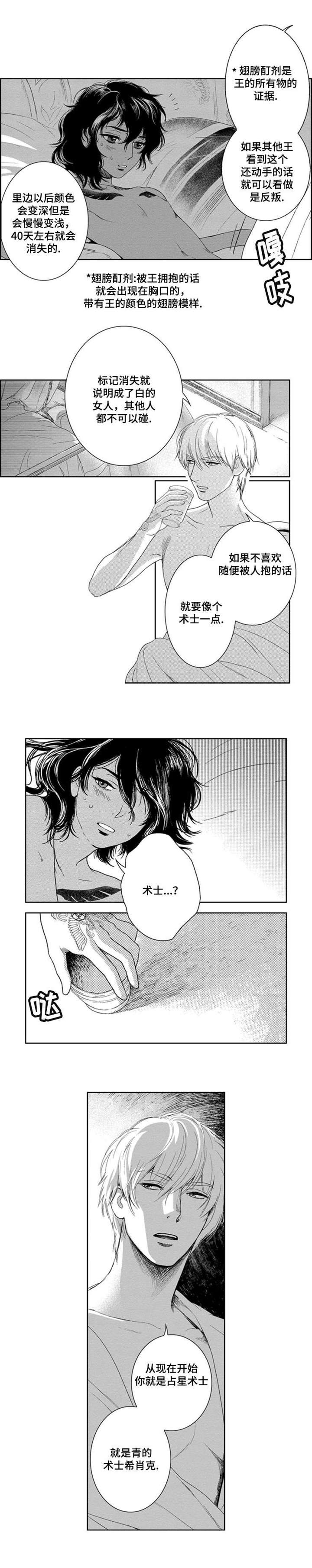 真假术师漫画,第3章：守护妹妹5图