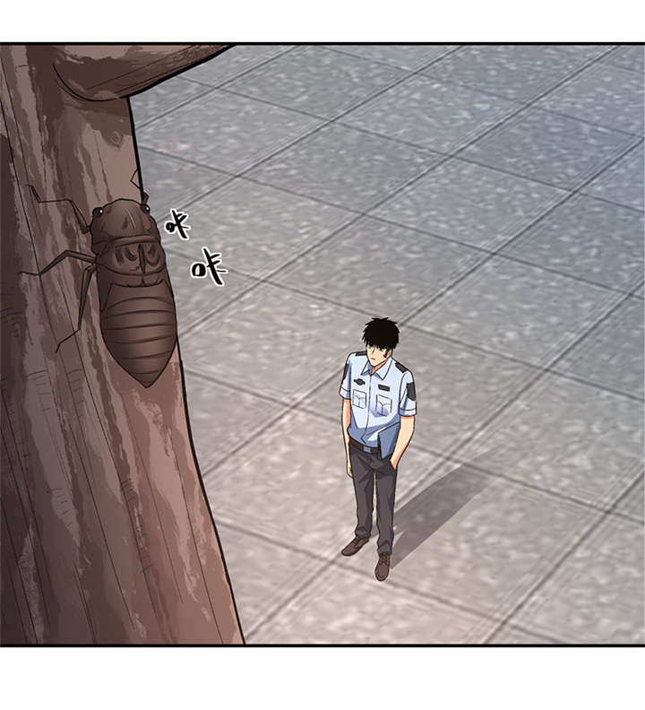 整容手札漫画,第16章： 美容针（柒）4图