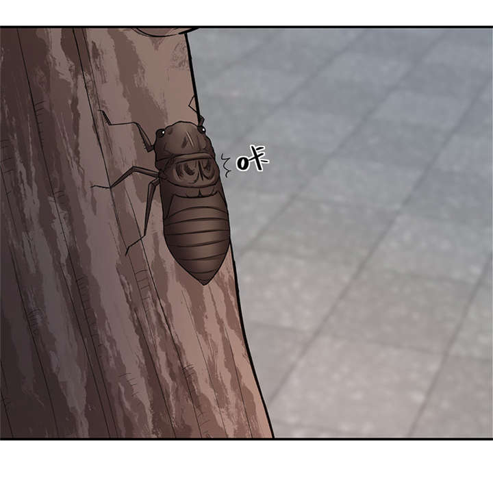 整容手札漫画,第16章： 美容针（柒）3图