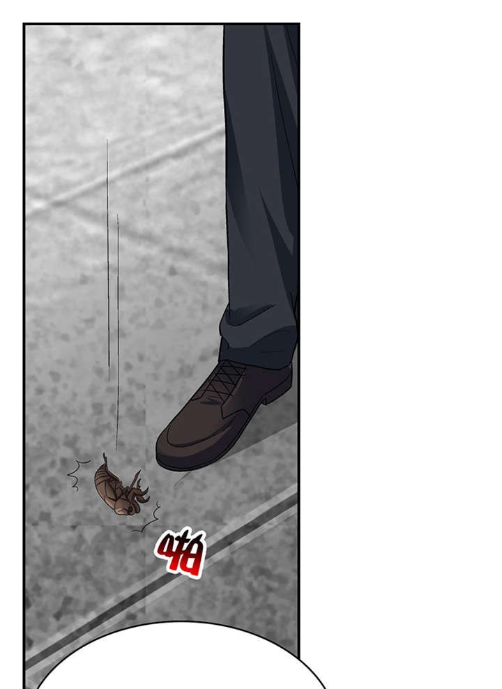 整容手札漫画,第16章： 美容针（柒）4图