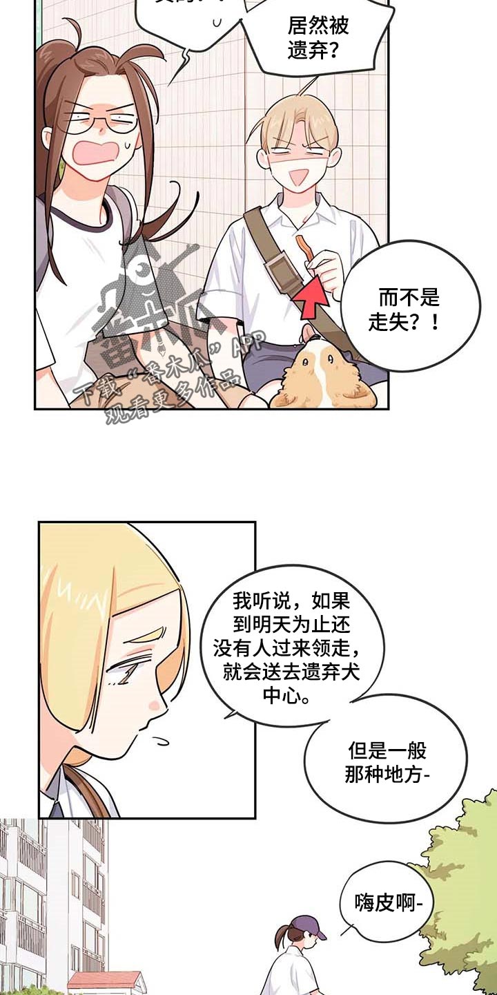 校园之星漫画,第38章：遗弃的狗狗1图