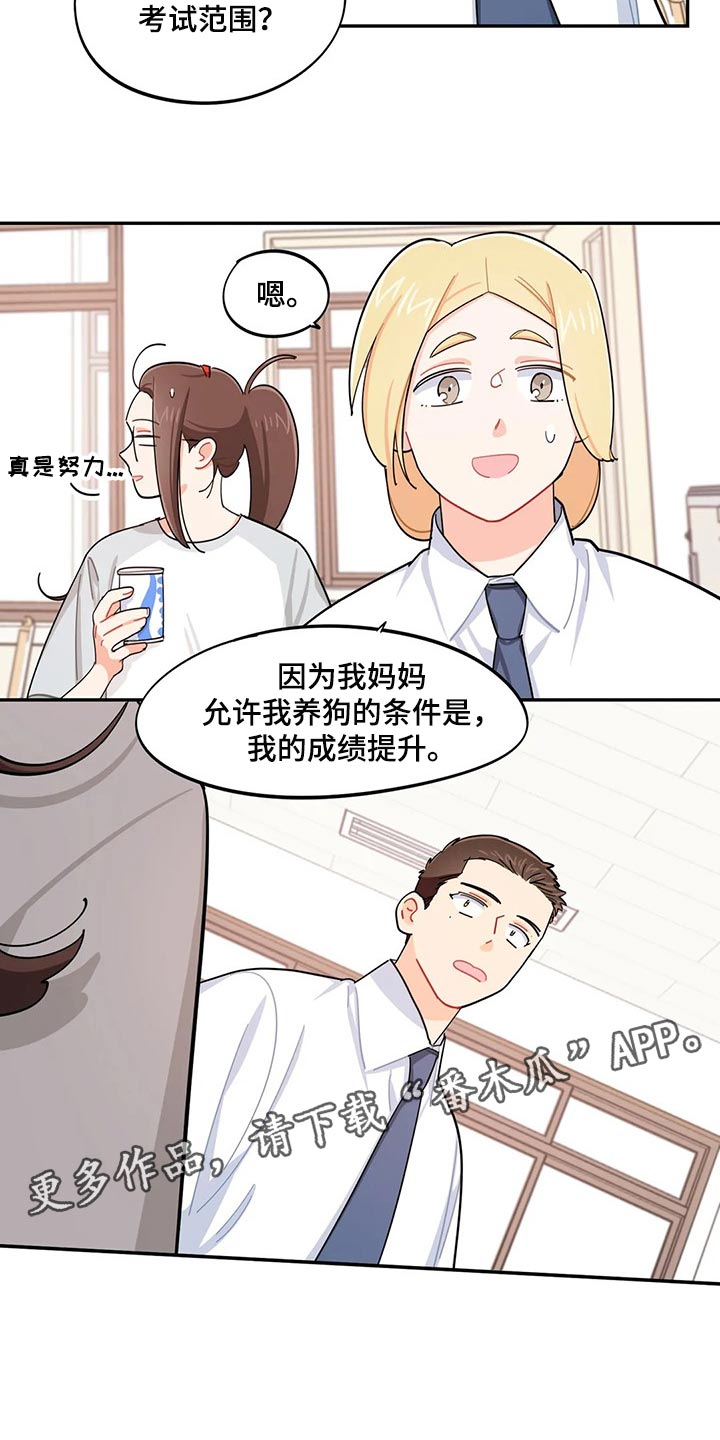校园之星项目漫画,第45章：坏事4图