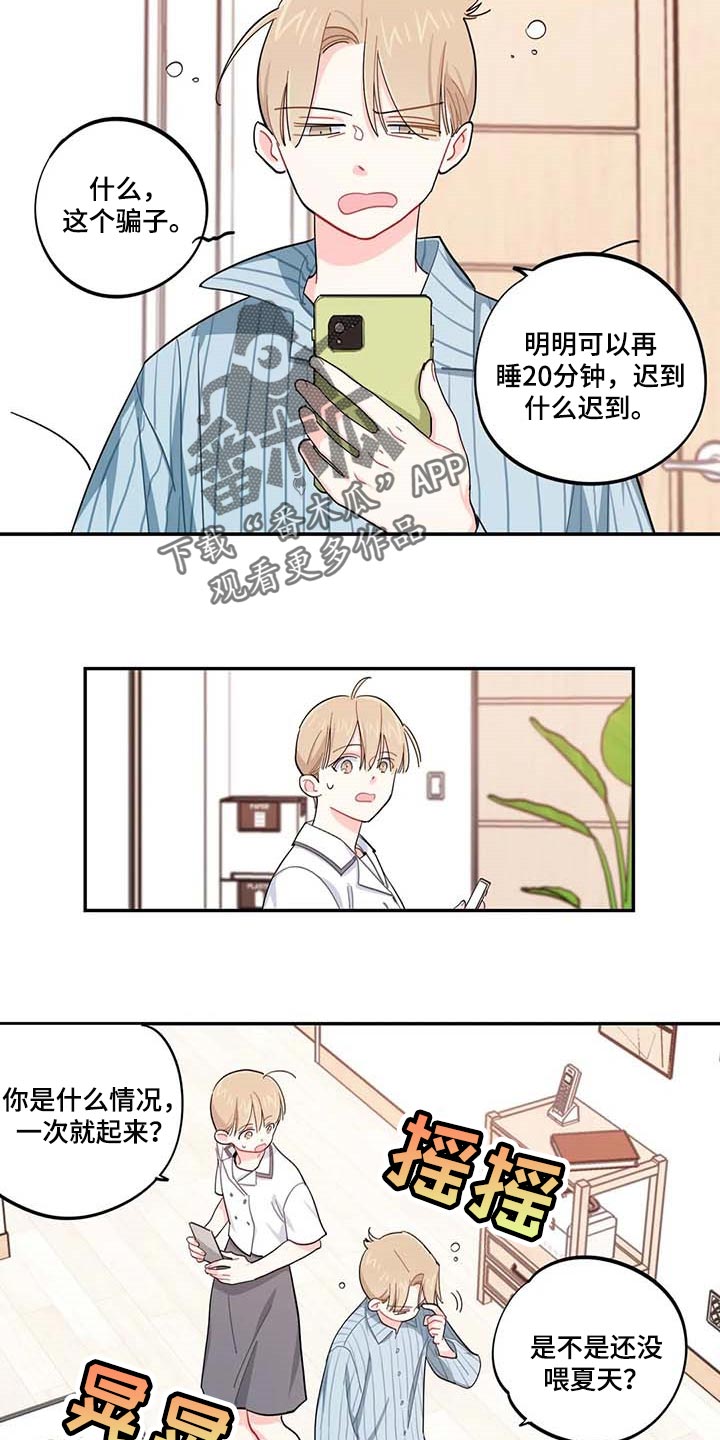 校园之星漫画,第43章：百分百过敏3图