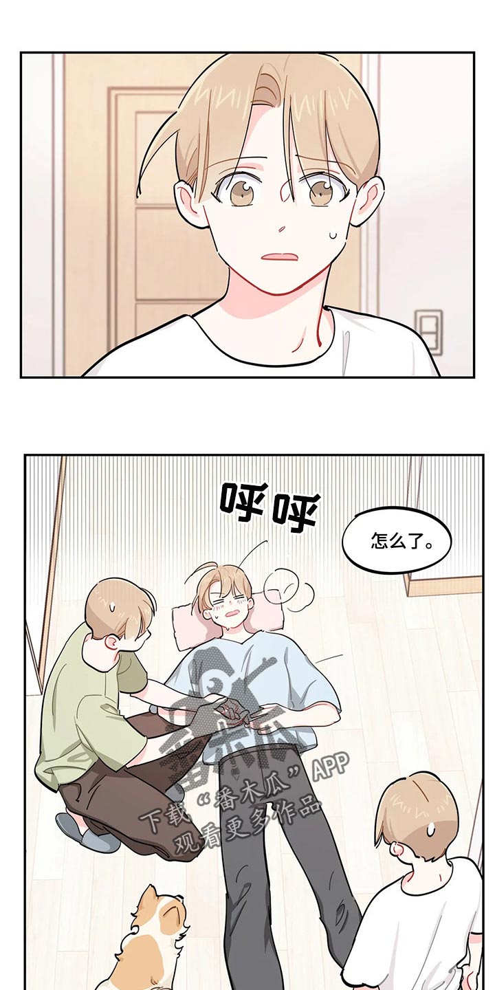 校园之星漫画,第51章：狗毛过敏1图