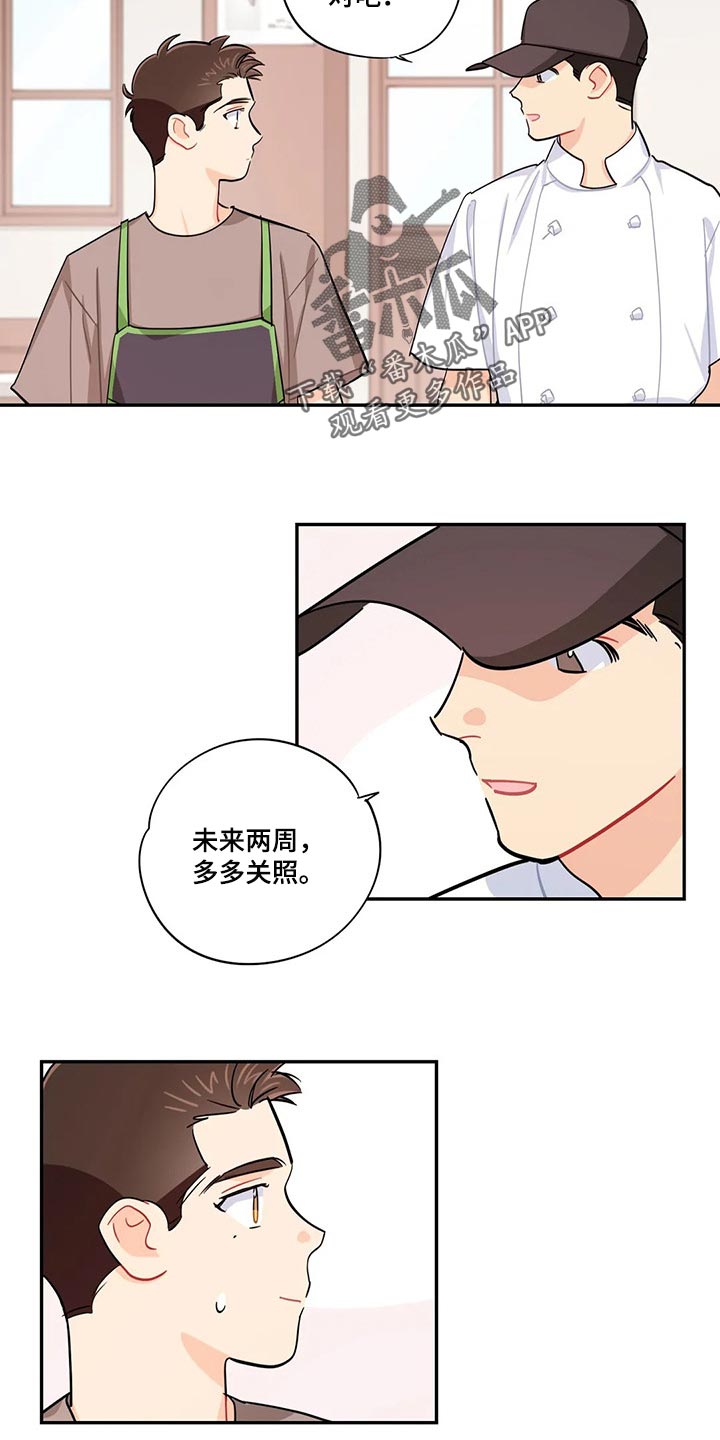 校园之星称号怎么获得漫画,第66章：录取2图