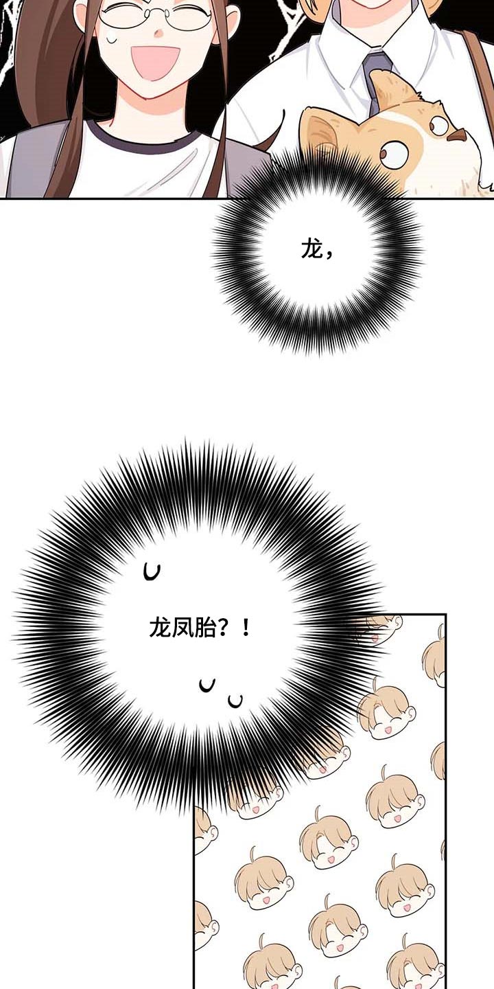 校园之星漫画,第40章：烦人1图